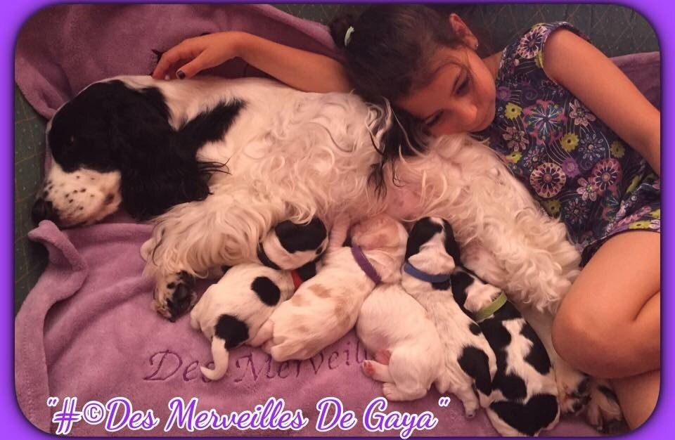 Des Merveilles De Gaya - Des bébés.....